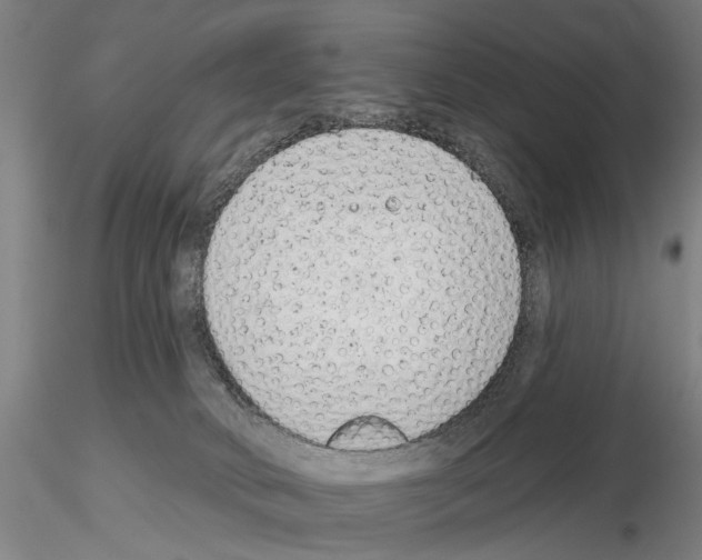 X0000114990034200912071127