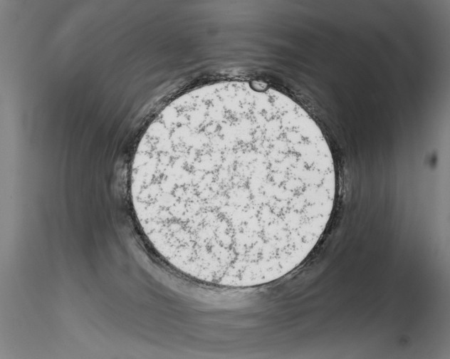 X0000114990036200912071127