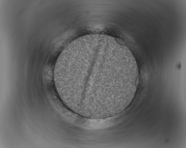 X0000114990037200912071127