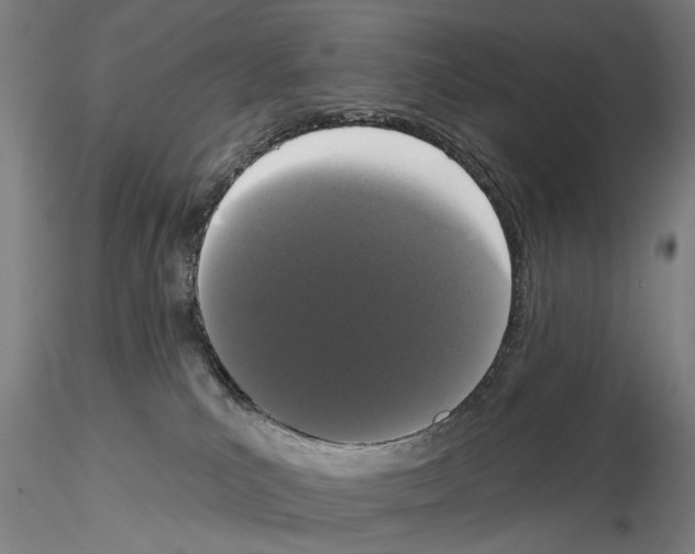 X0000114990039200912071126