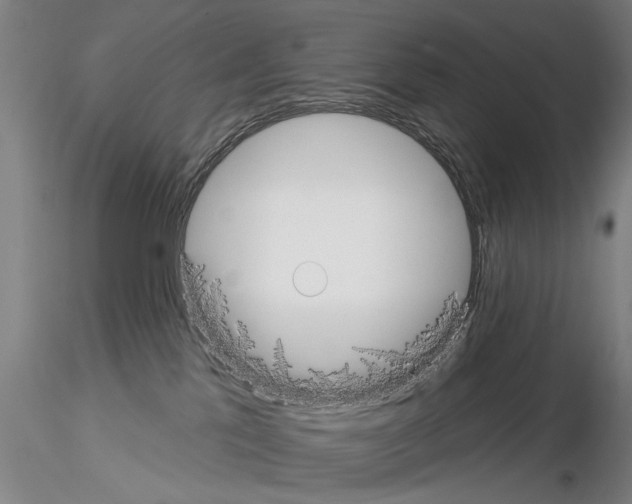 X0000114990041200912071126