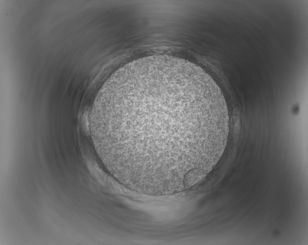 X0000114990042200912071126