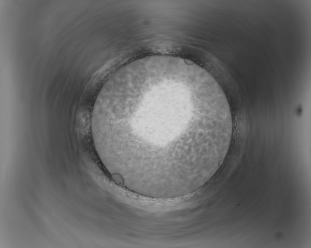 X0000114990043200912071126