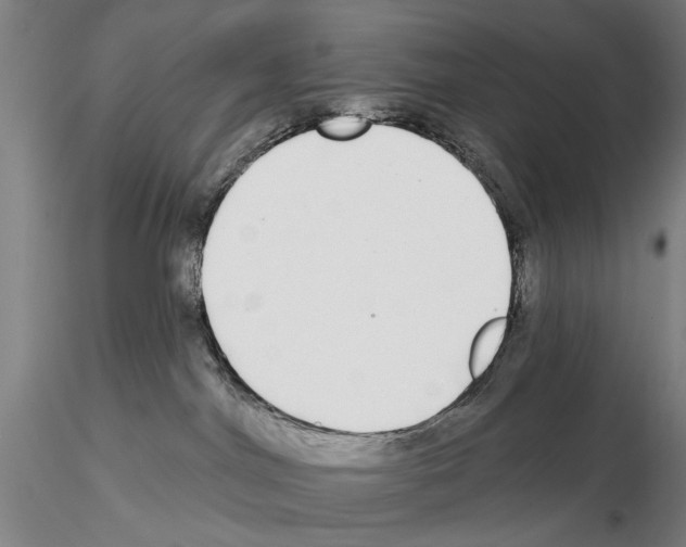 X0000114990044200912071126