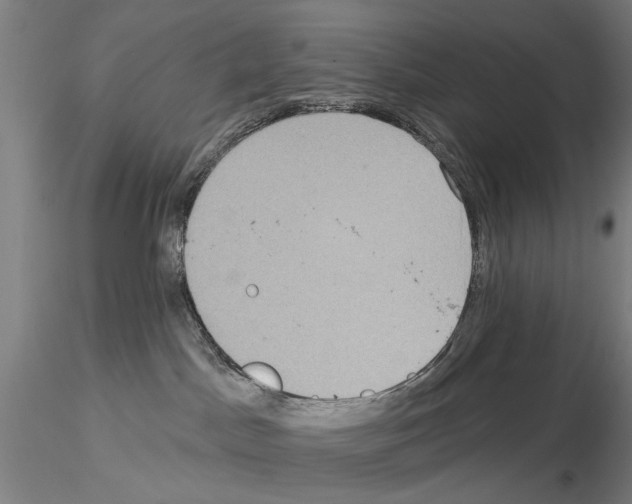 X0000114990045200912071126