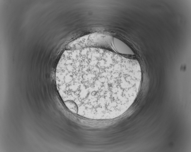 X0000114990048200912071126