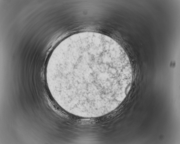 X0000114990050200912071126