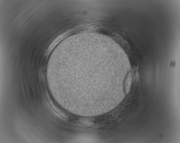 X0000114990051200912071126