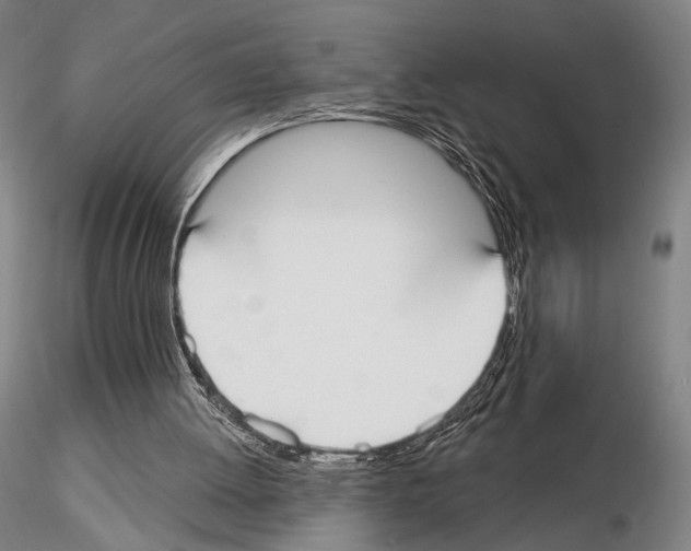 X0000114990052200912071126