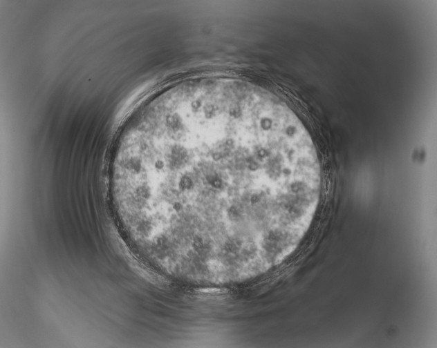 X0000114990053200912071126