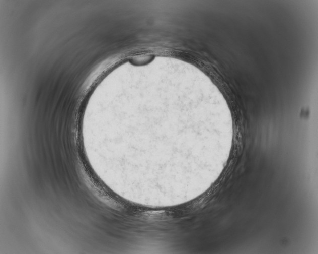 X0000114990054200912071126