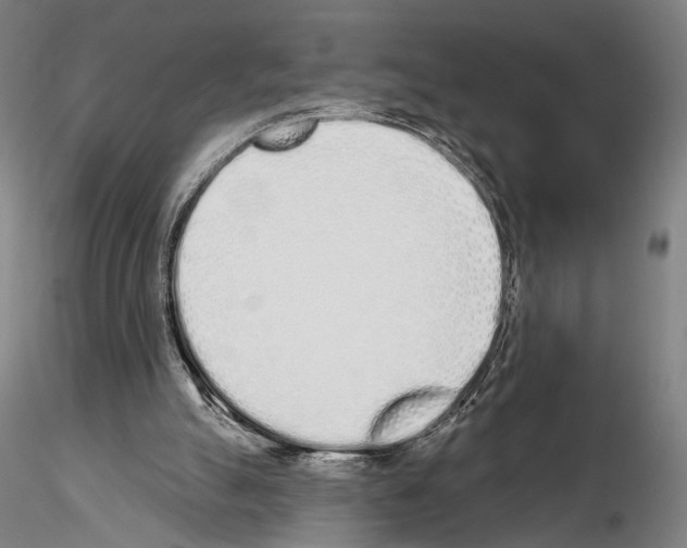 X0000114990055200912071126