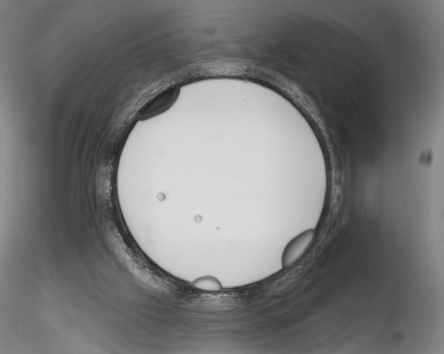 X0000114990057200912071126