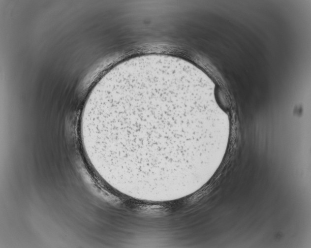 X0000114990058200912071126