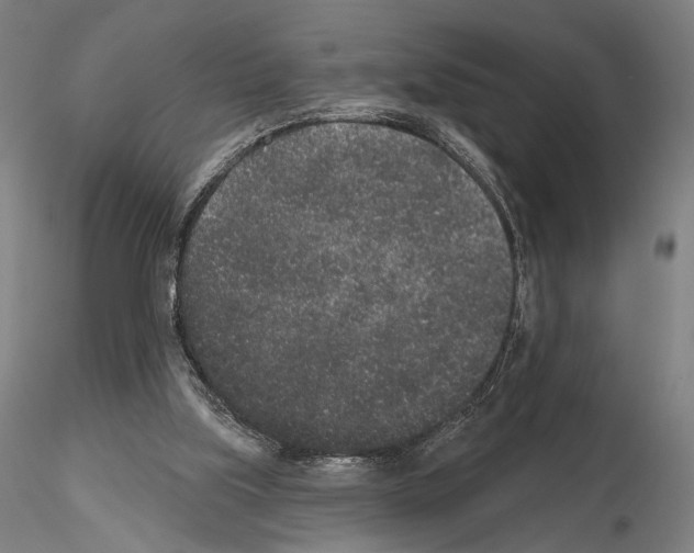 X0000114990059200912071126