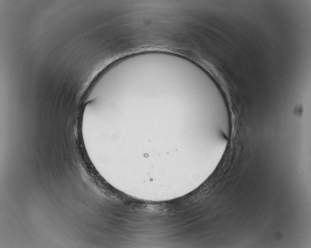 X0000114990060200912071126