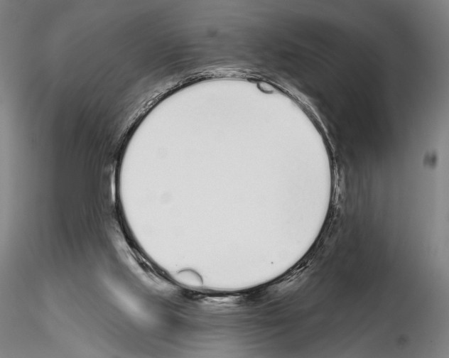 X0000114990061200912071126