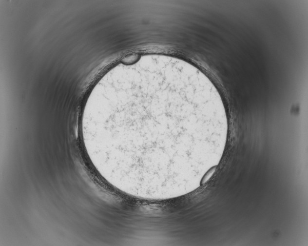 X0000114990062200912071126