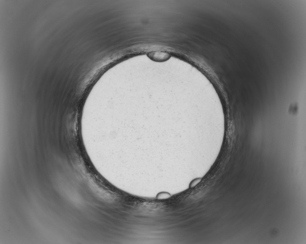 X0000114990063200912071126