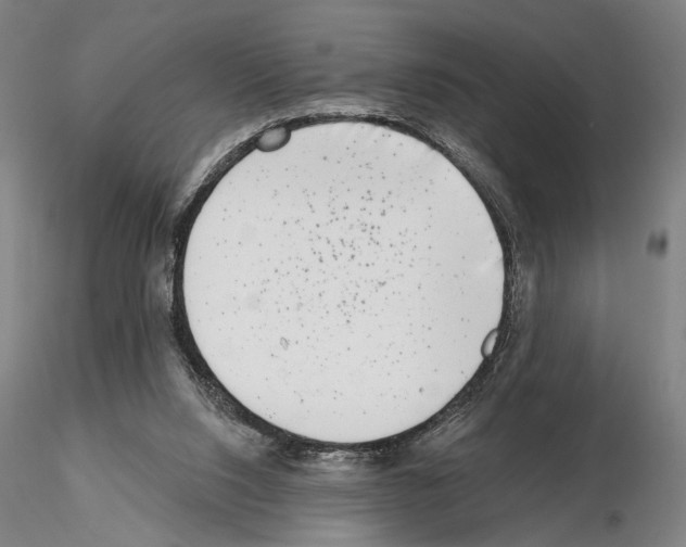 X0000114990064200912071126