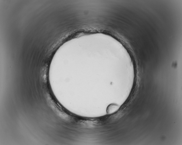 X0000114990065200912071126