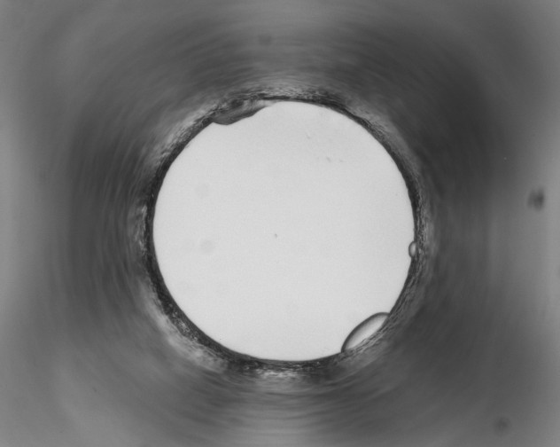 X0000114990066200912071126