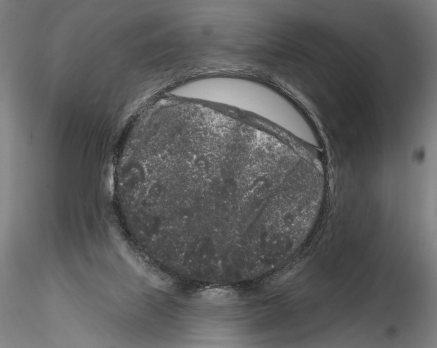 X0000114990067200912071126