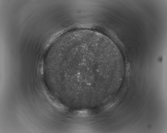 X0000114990068200912071126