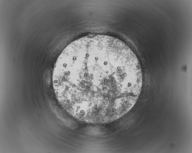 X0000114990069200912071126