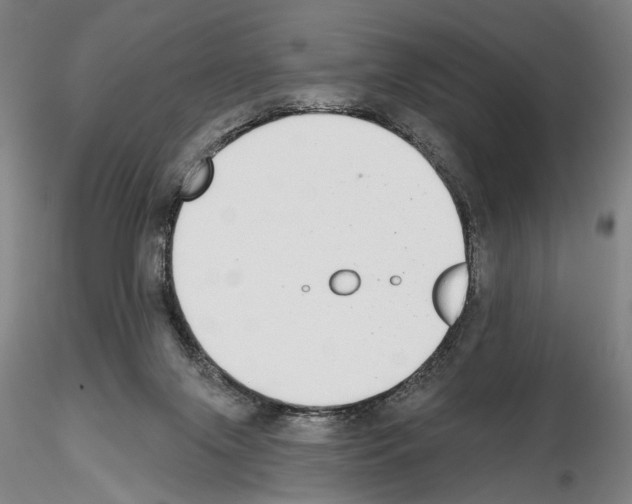 X0000114990071200912071126