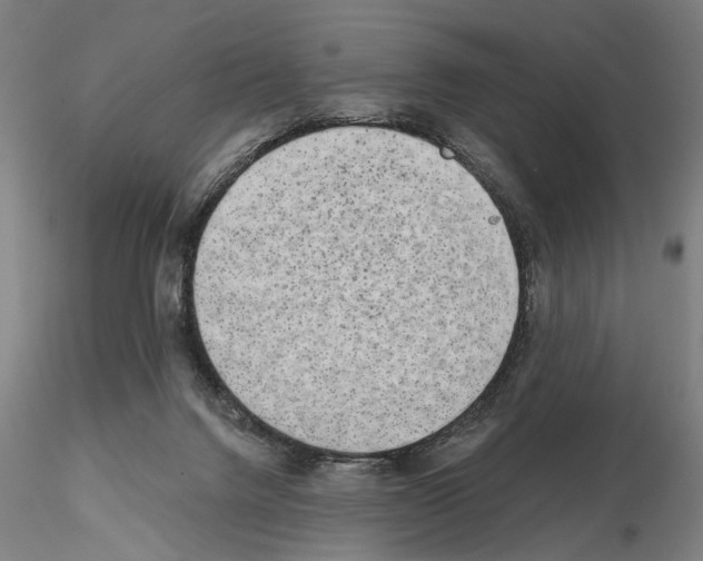 X0000114990072200912071126