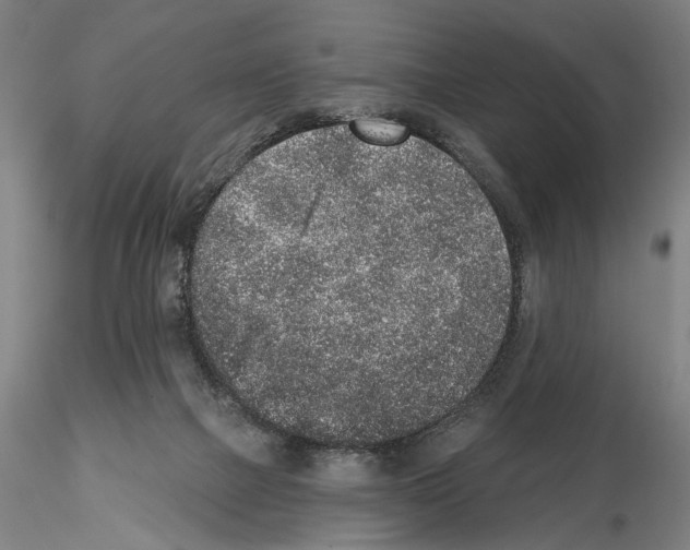 X0000114990073200912071126