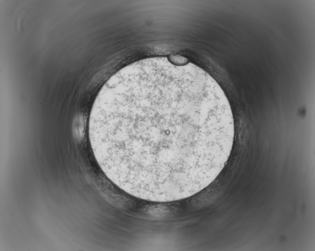 X0000114990075200912071126