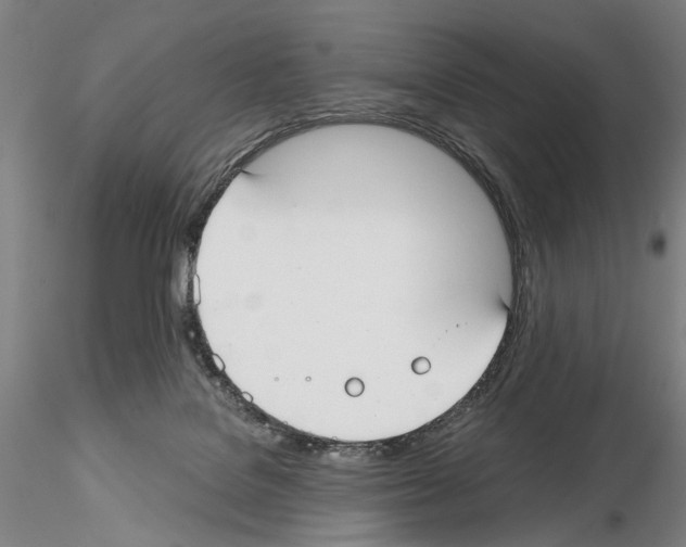 X0000114990076200912071126