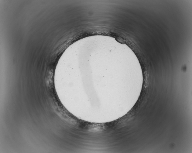 X0000114990077200912071126