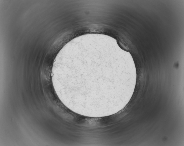 X0000114990078200912071126