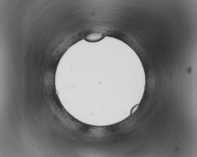 X0000114990079200912071126