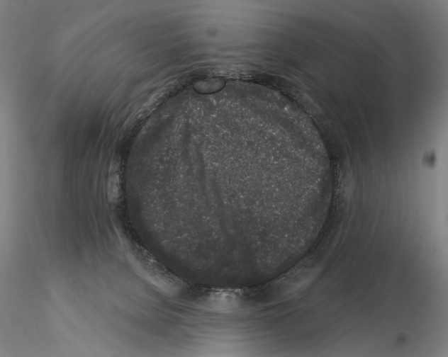 X0000114990080200912071126