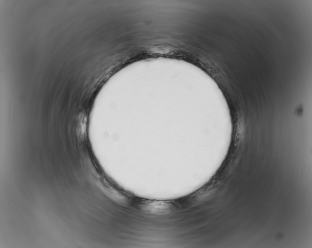 X0000114990081200912071126