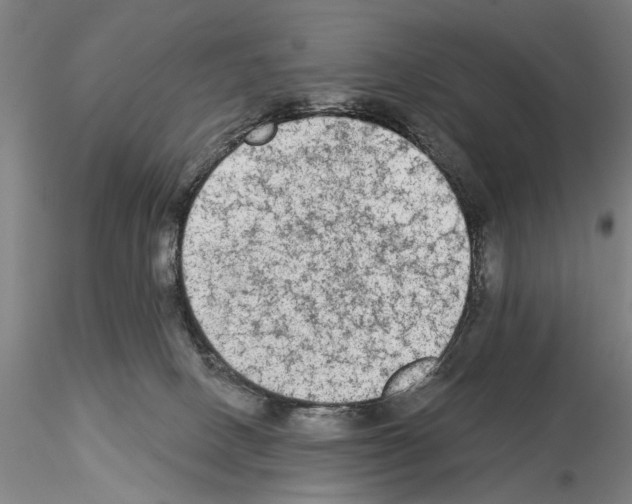 X0000114990082200912071126