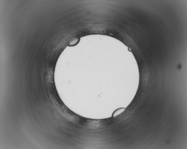 X0000114990083200912071126