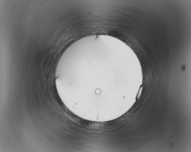 X0000114990084200912071126