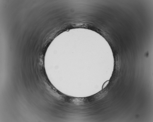 X0000114990085200912071126