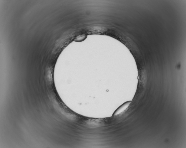 X0000114990086200912071126