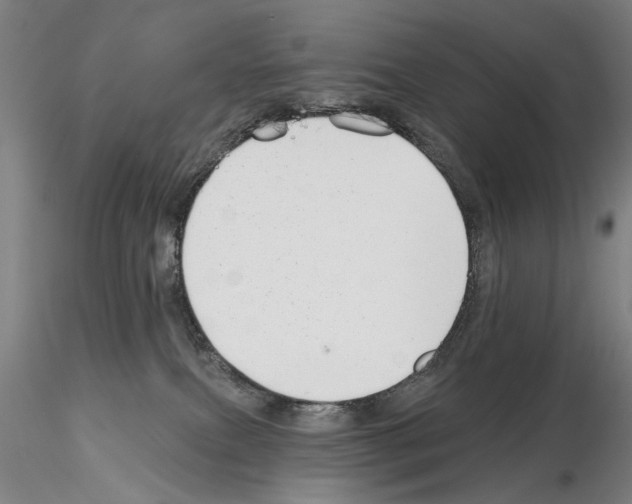 X0000114990087200912071126