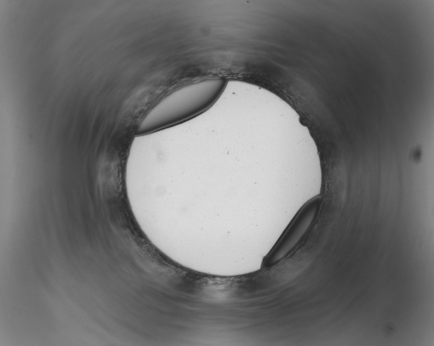 X0000114990088200912071126