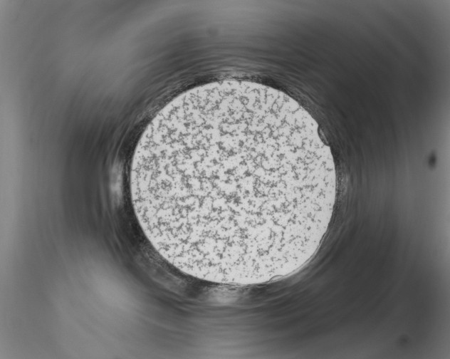 X0000114990094200912071126