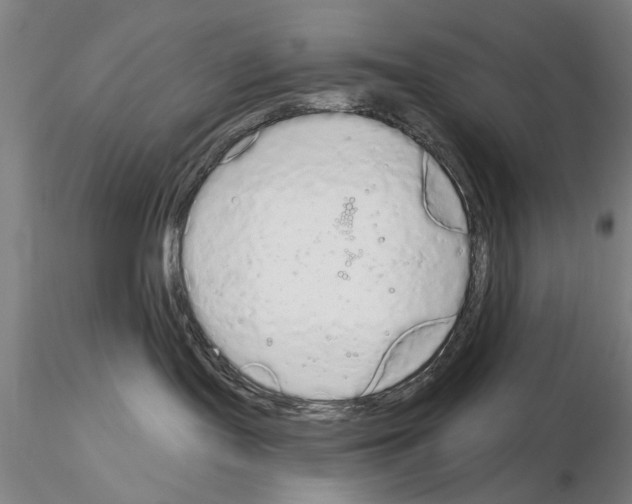 X0000114990095200912071126