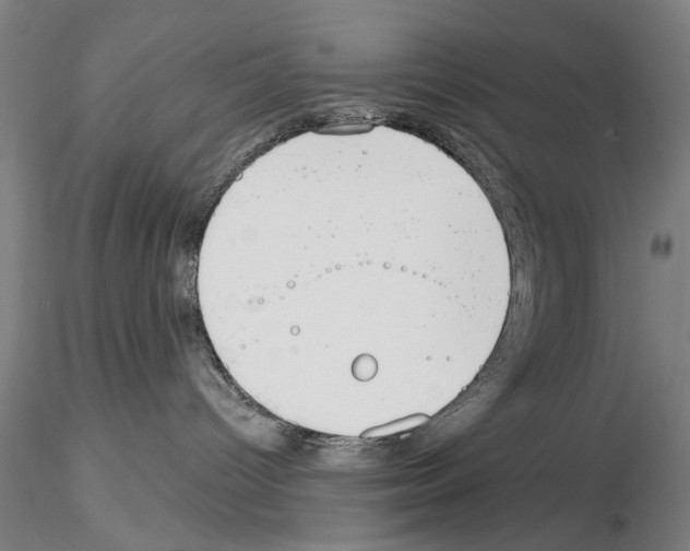 X0000114990096200912071126