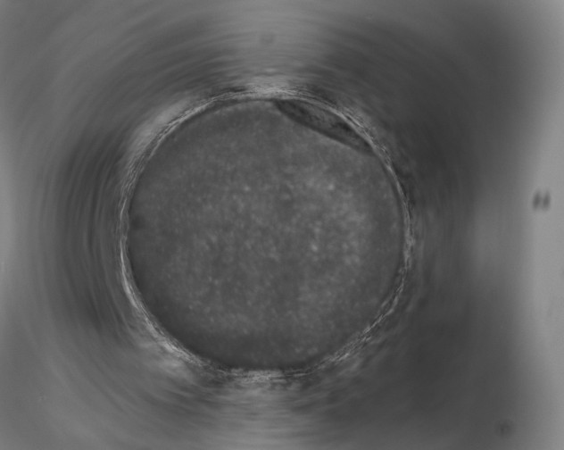 X0000114990097200912071126